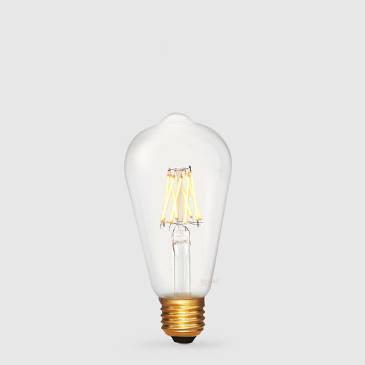 Low Voltage Edison LED Bulbs