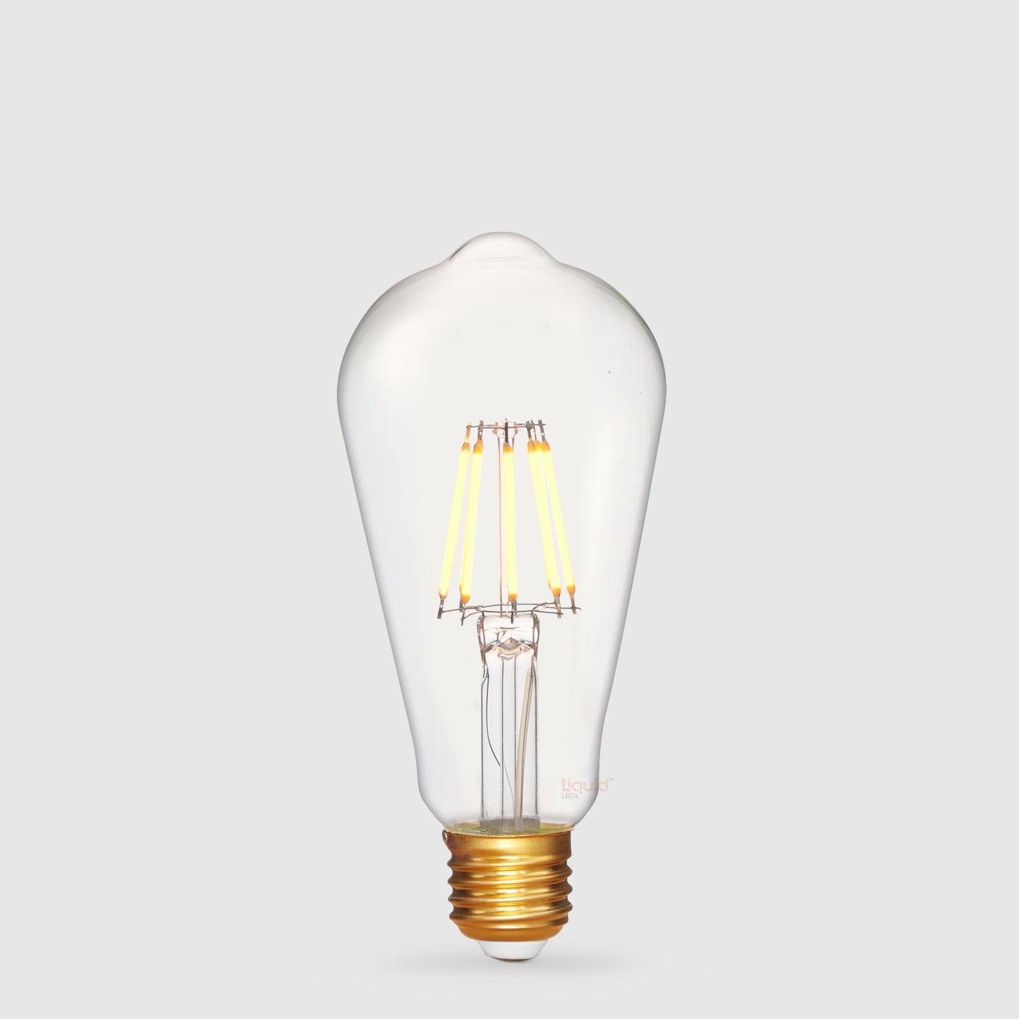 Low Voltage Edison LED Bulbs