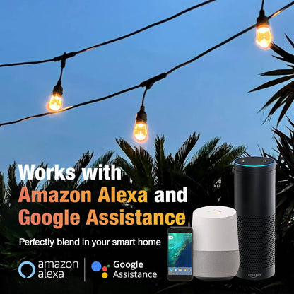 15m Smart Festoon String Lights with 15 LED Bulb