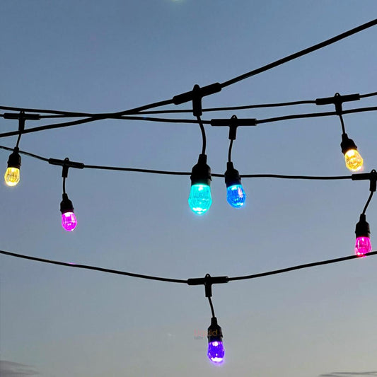15m Smart Festoon String Lights with 15 LED Bulb