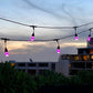 15m Smart Festoon String Lights with 15 LED Bulb
