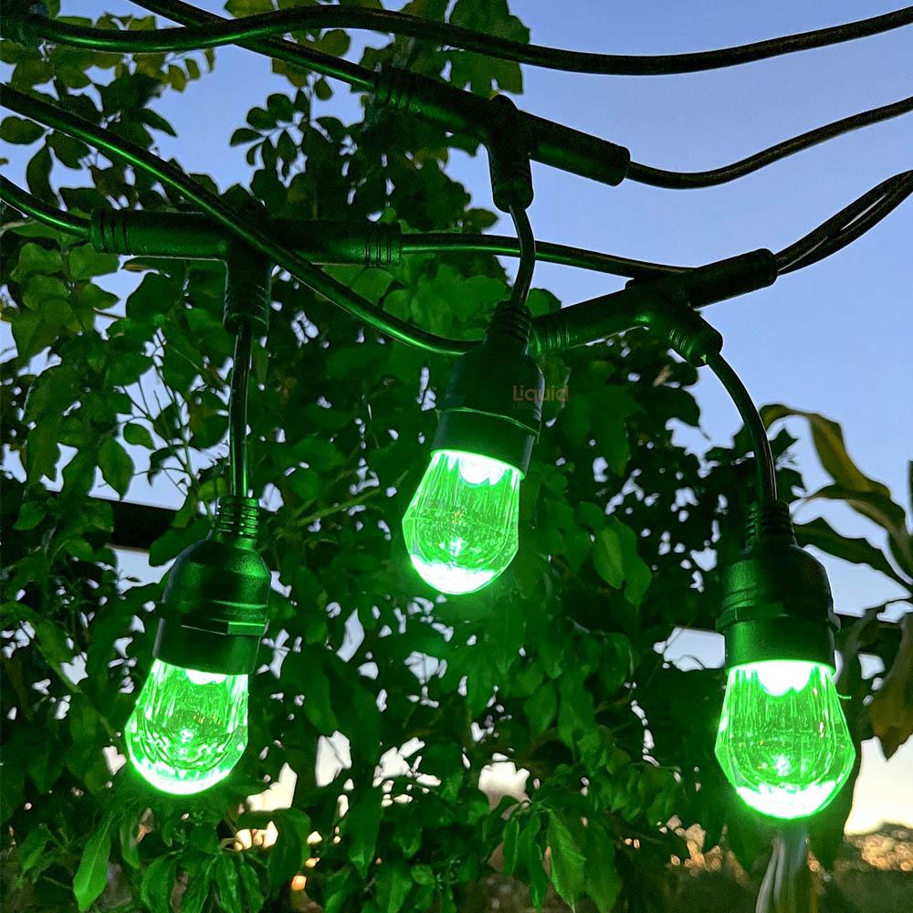 15m Smart Festoon String Lights with 15 LED Bulb