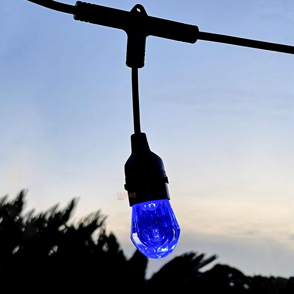 15m Smart Festoon String Lights with 15 LED Bulb