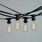 10M Festoon String Lights at 50 cm intervals with LED Bulbs