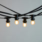 10M Festoon String Lights at 50 cm intervals with LED Bulbs