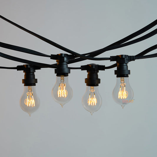 10M Festoon String Lights at 50 cm intervals with LED Bulbs