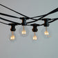 10M Festoon String Lights at 50 cm intervals with LED Bulbs