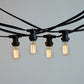 10M Festoon String Lights at 50 cm intervals with LED Bulbs