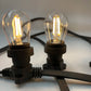 Low Voltage 10M LED Festoon Kit at 50 cm intervals