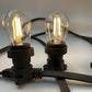 Dimmable Low Voltage Commercial LED Festoon Kit at 90cm intervals