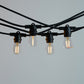 20m Black Festoon String Lights with 20 Bulb 240V