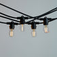 10m Black Festoon String Lights with 10 Bulb 240V