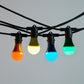 10m Black Festoon String Lights with 10 Bulb 240V
