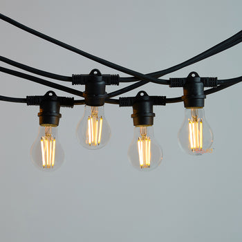 20m Black Festoon String Lights with 20 Bulb 240V
