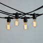 20m Black Festoon String Lights with 20 Bulb 240V