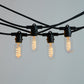 10m Black Festoon String Lights with 10 Bulb 240V